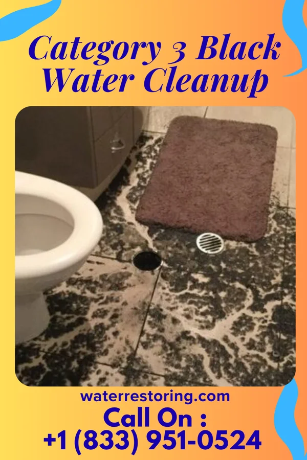 Category 3 Black Water Cleanup in Kenneth, MN