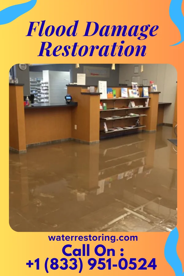 Flood Damage Restoration in Kenneth, MN