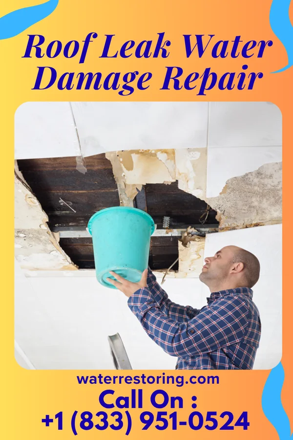 Roof Leak Water Damage Repair in Kenneth, MN