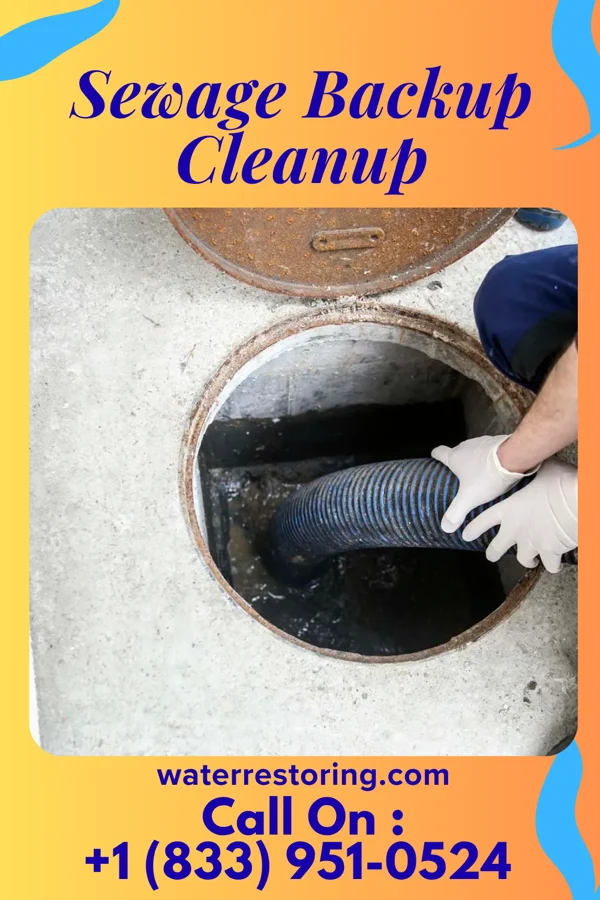 Sewage Backup Cleanup in Kenneth, MN