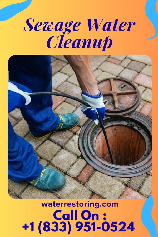 Sewage Water Cleanup in Kenneth, MN